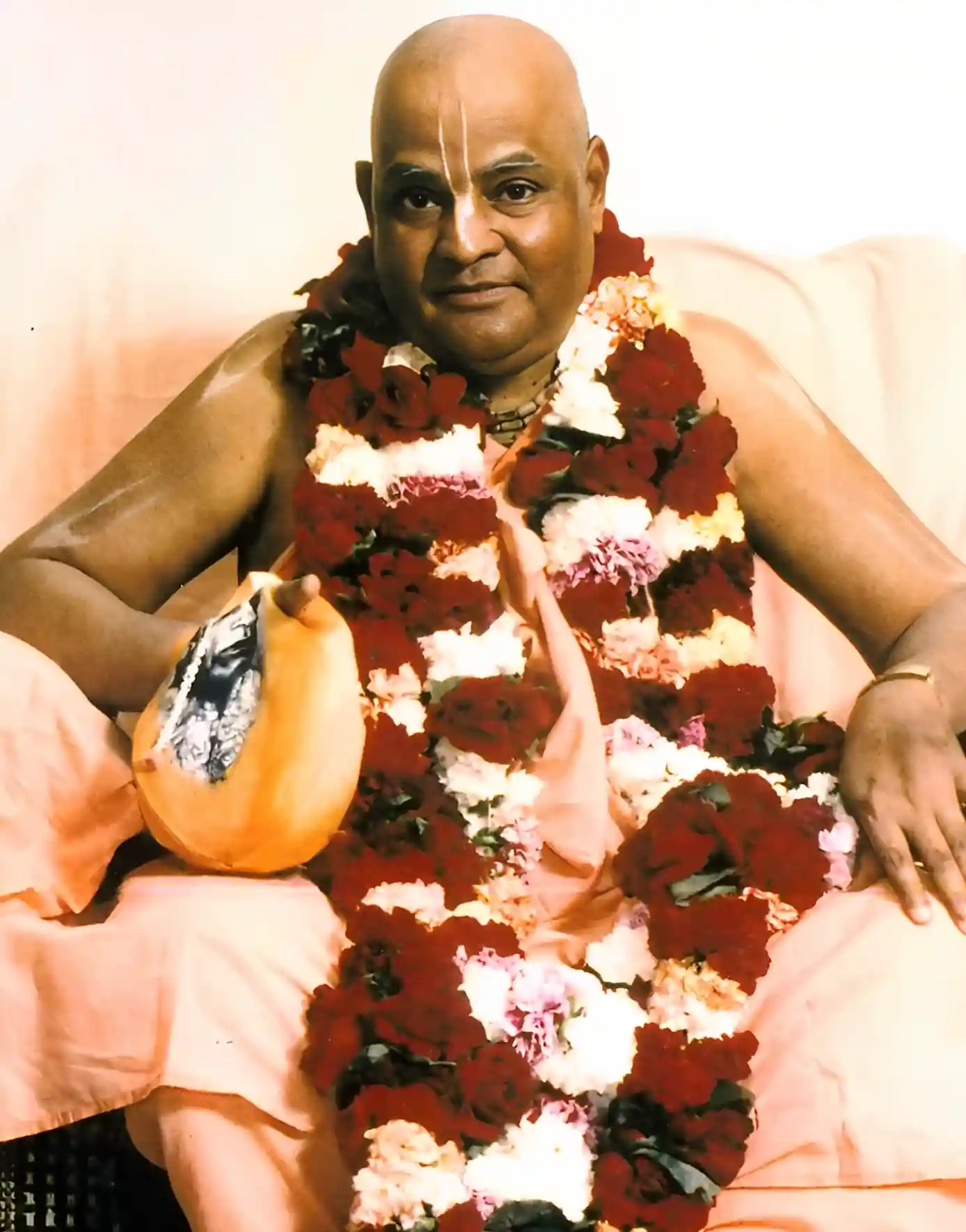 Sri Srimad Gour Govinda Swami